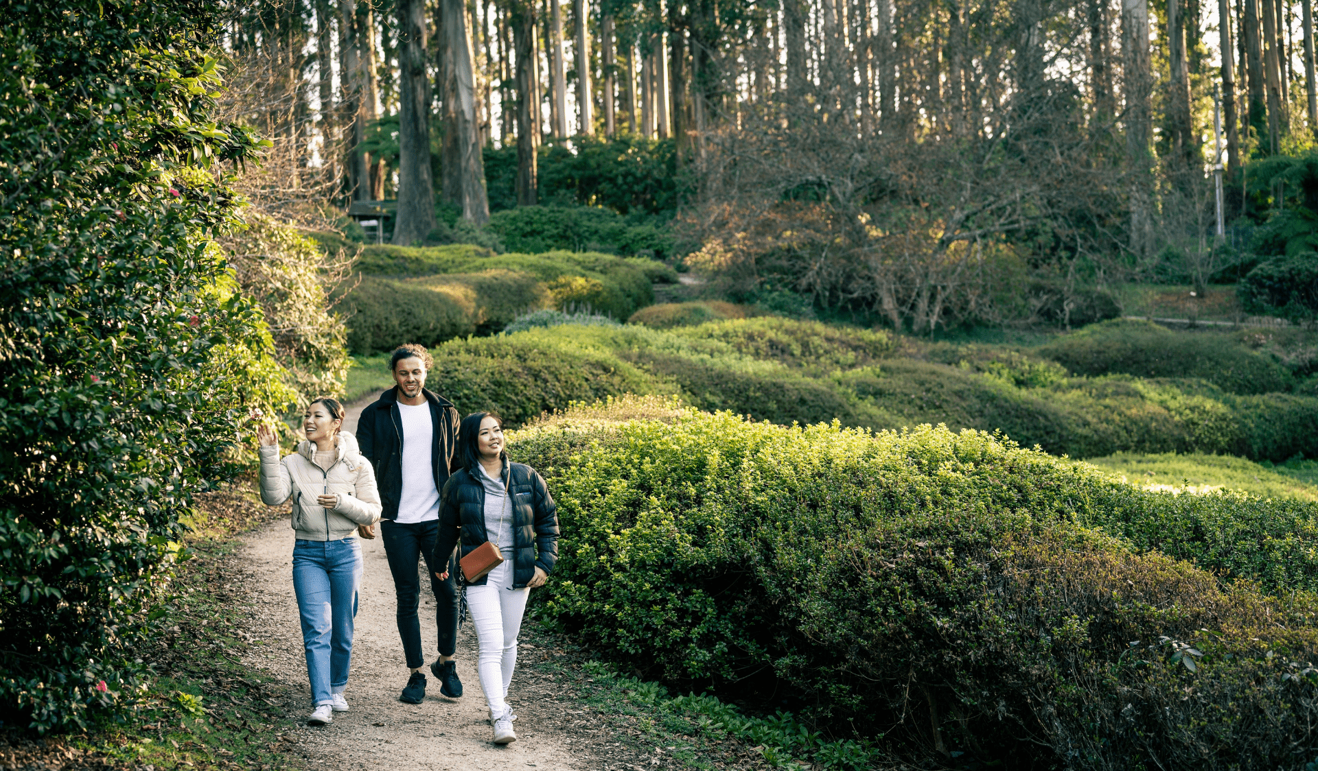 Friends walking in the Dandenong Ranges Botanic Garden