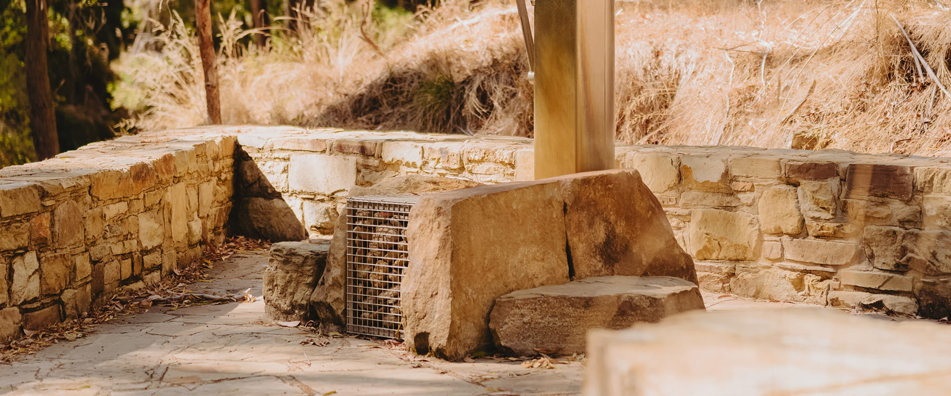 Mineral spring hand pump at Deep Creek Eganstown Streamside Reserve.