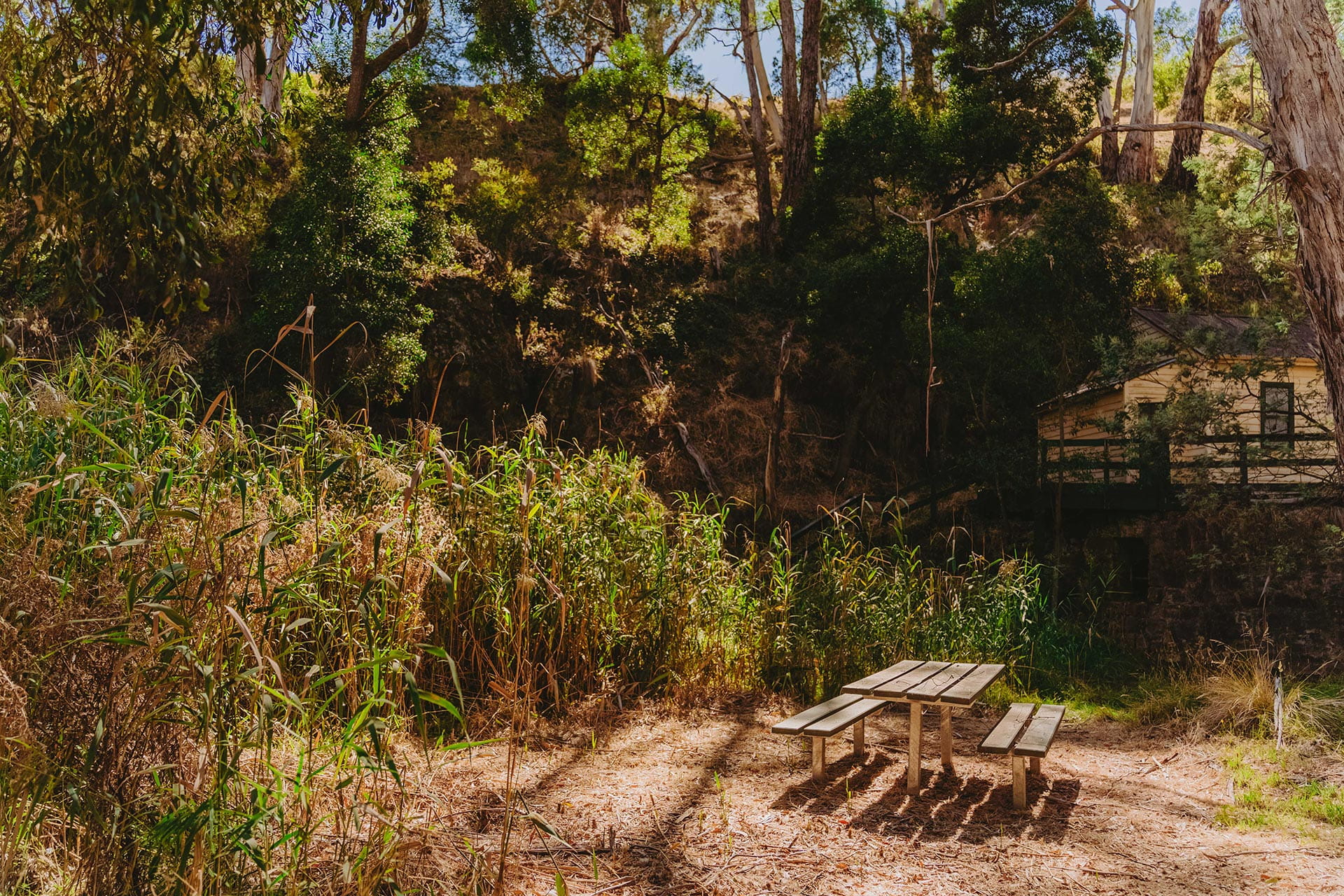 Picnic table and benches surrounded by nature at Deep Creek Eganstown Streamside Reserve.