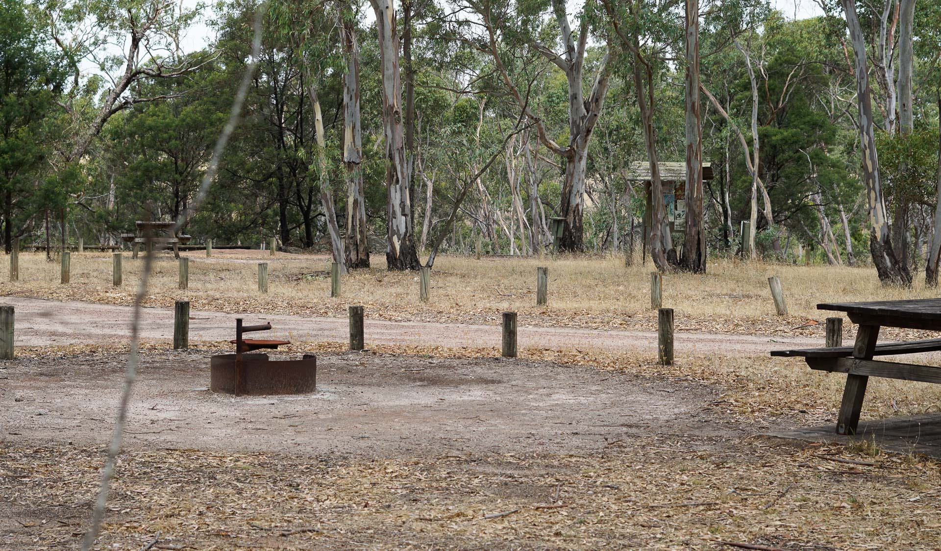 A cleared area with picnic tables and a fire pit, surrounded by forest.