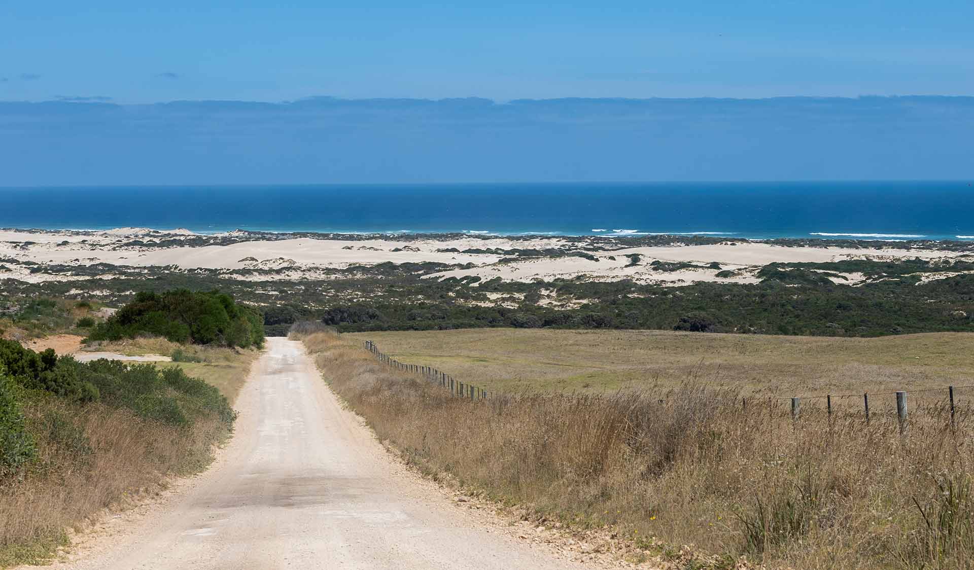 The road leading towards Discovery Bay Coastal Park with sand dunes and then the ocean in the background