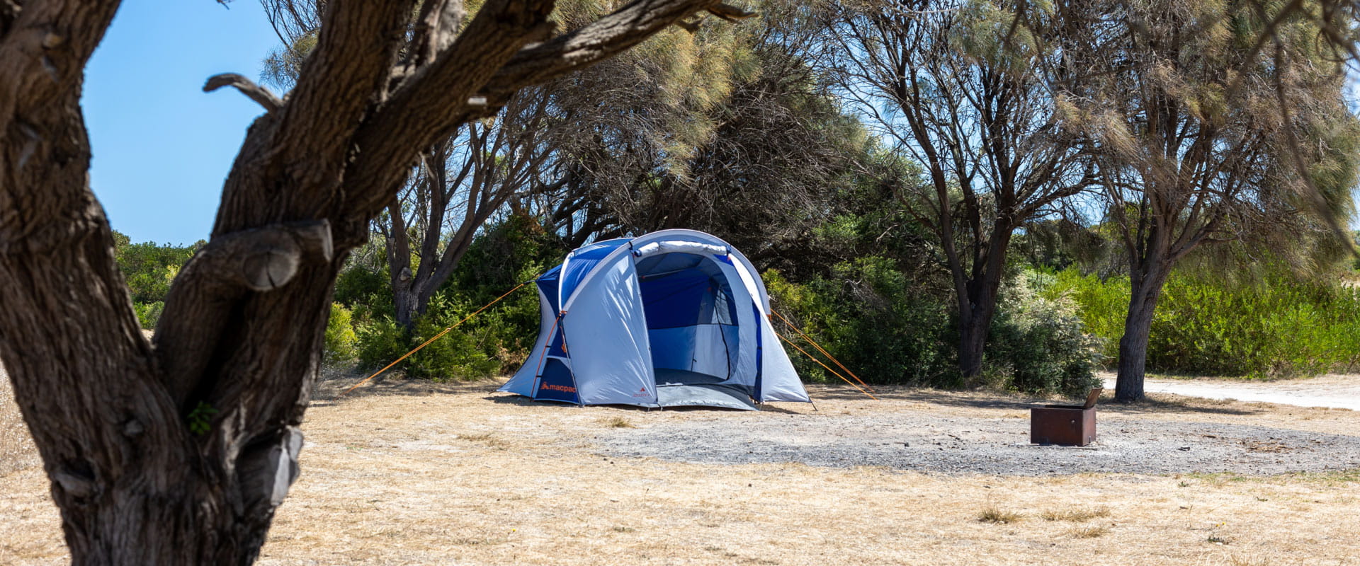 An open camping tent sits under the shade of surrounding trees and bushes with a small campfire area in front.