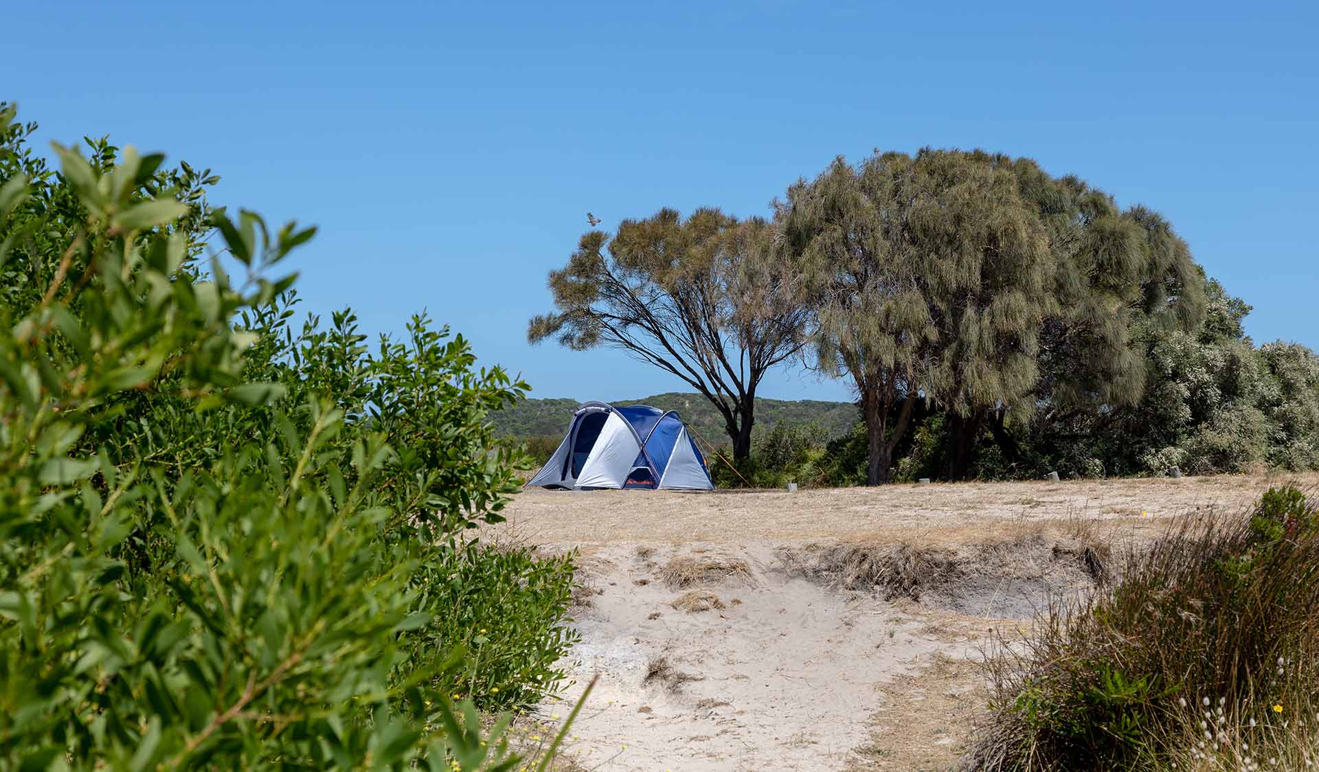 A path leading to a tent set up next to trees at Lake Monibeong at Discovery Bay Coastal Park