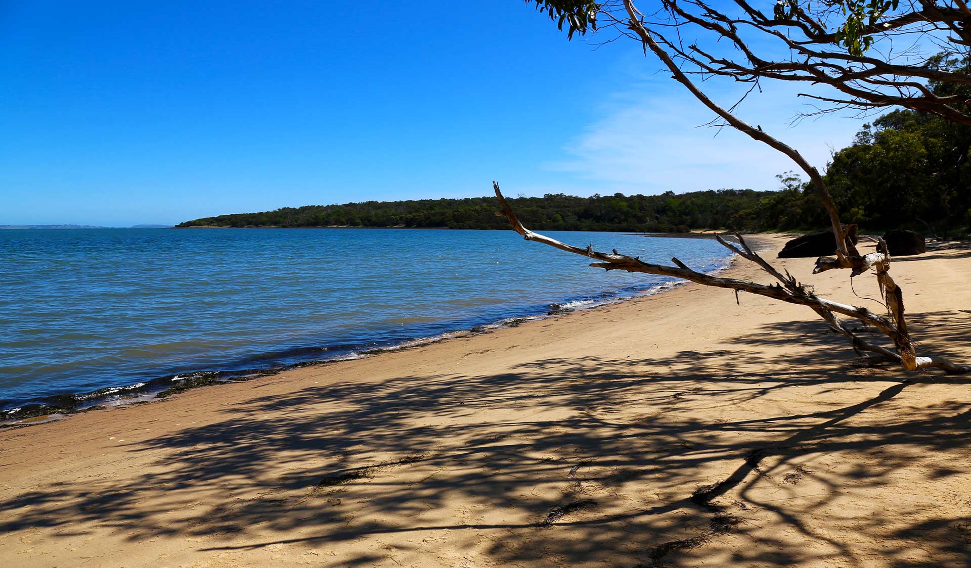 Fairhaven beach at French Island National Park