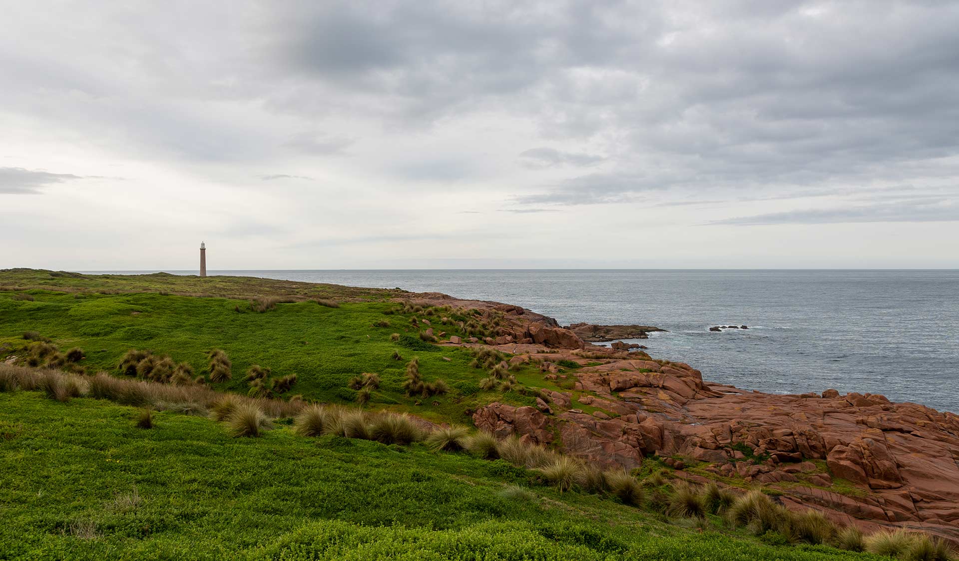 Grass meets the iconic pink granite by the Gabo Island Coastline