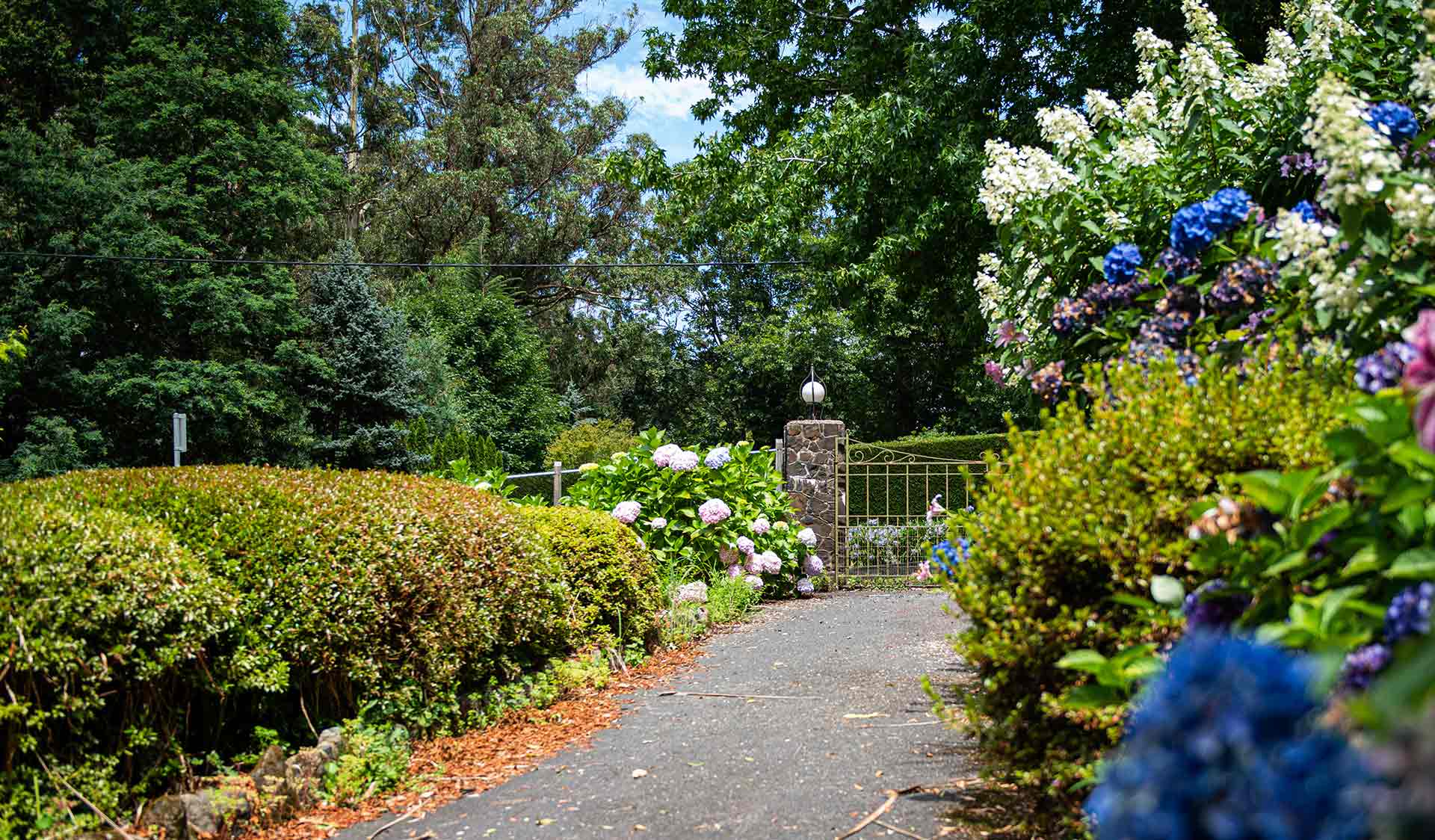 George Tindale Memorial Garden
