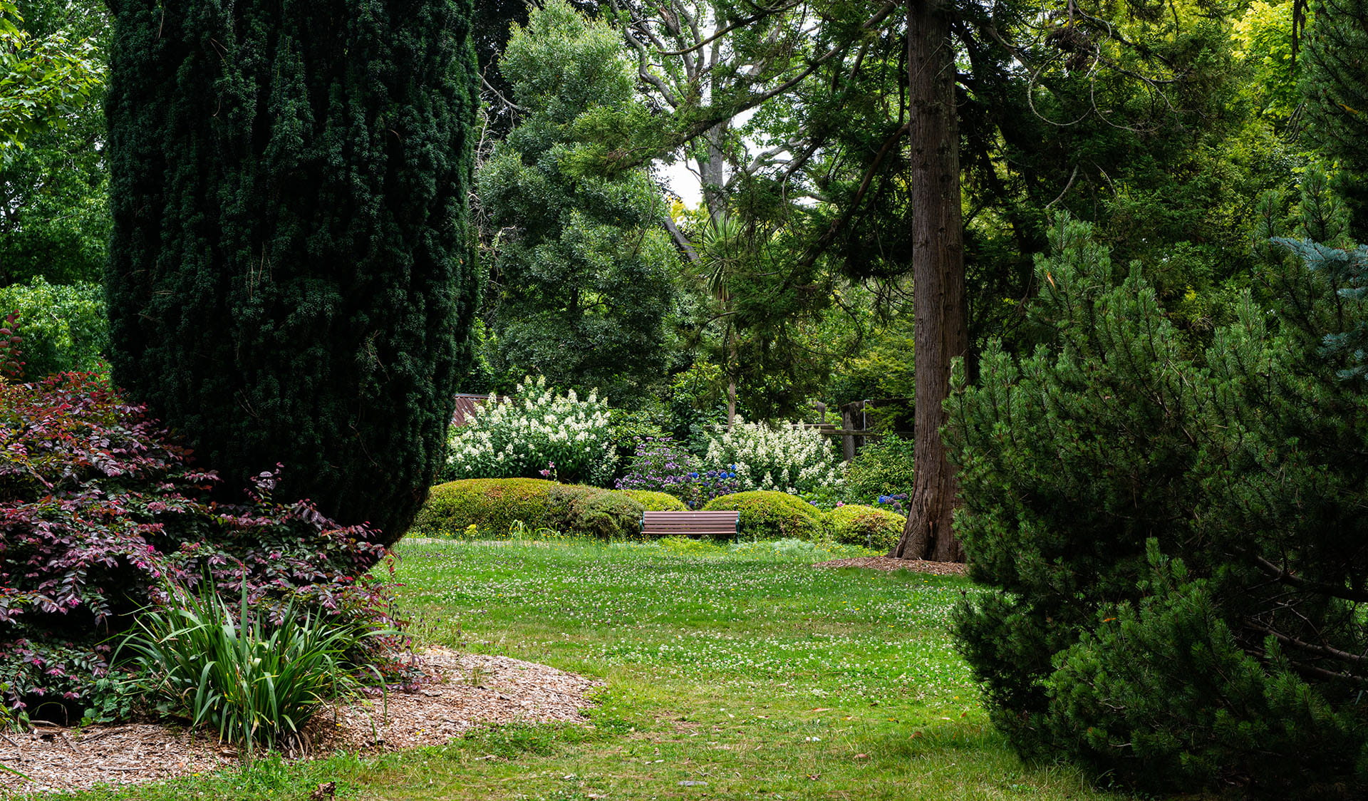 Park bench on a lawn surrounded by trees and shrubs