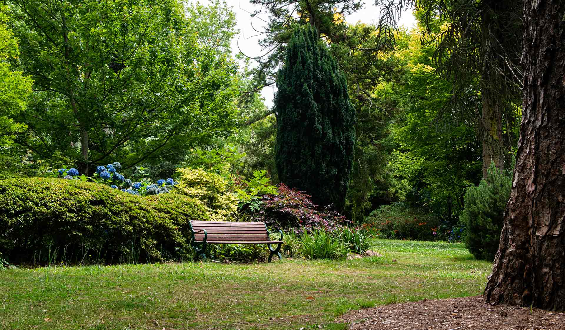 George Tindale Memorial Garden