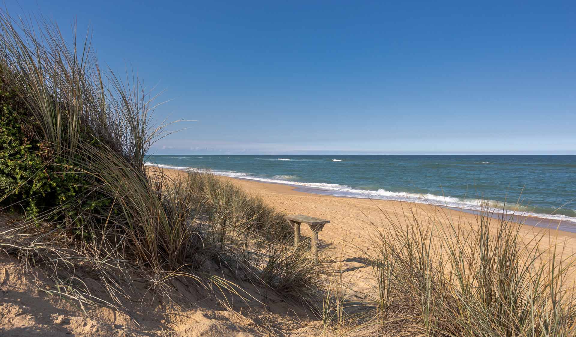 Ninety Mile Beach from the sand dunes at Paradise Beach Campground at Gippsland Lakes Coastal Park