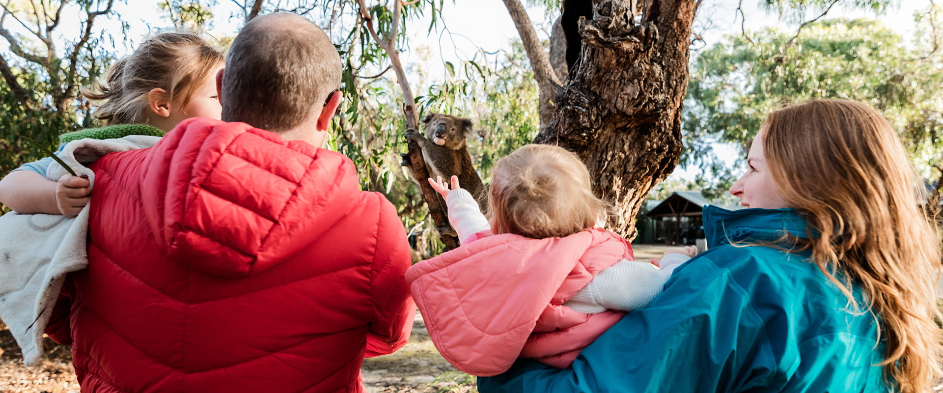 Close up of a family as they look at a koala in a tree in the background.