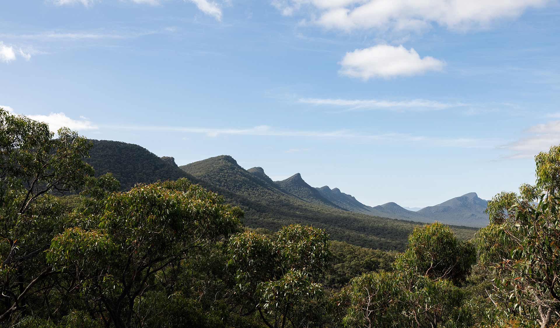 The view of the Serra Range which is traversed on Southern Section 2 of the Grampians Peaks Trail
