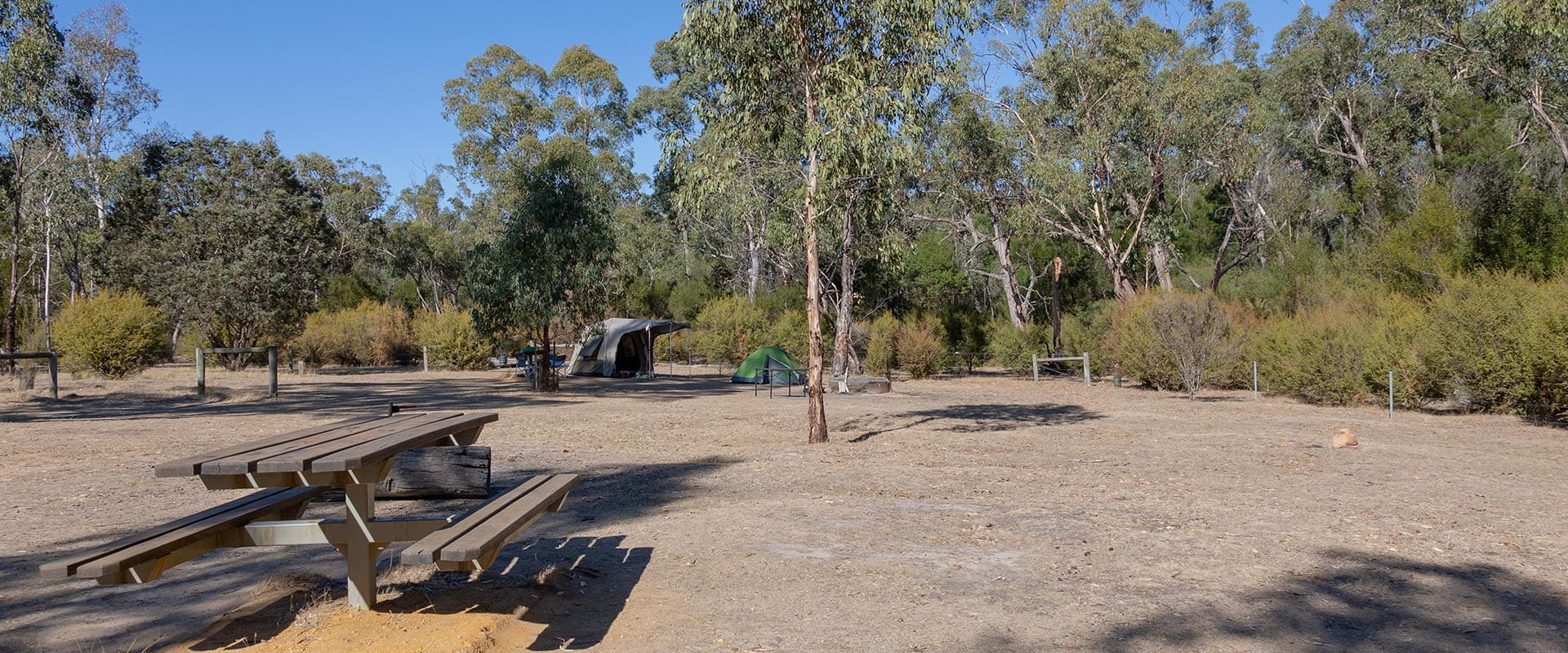 A campground with a picnic table two tents and medium to low bushland