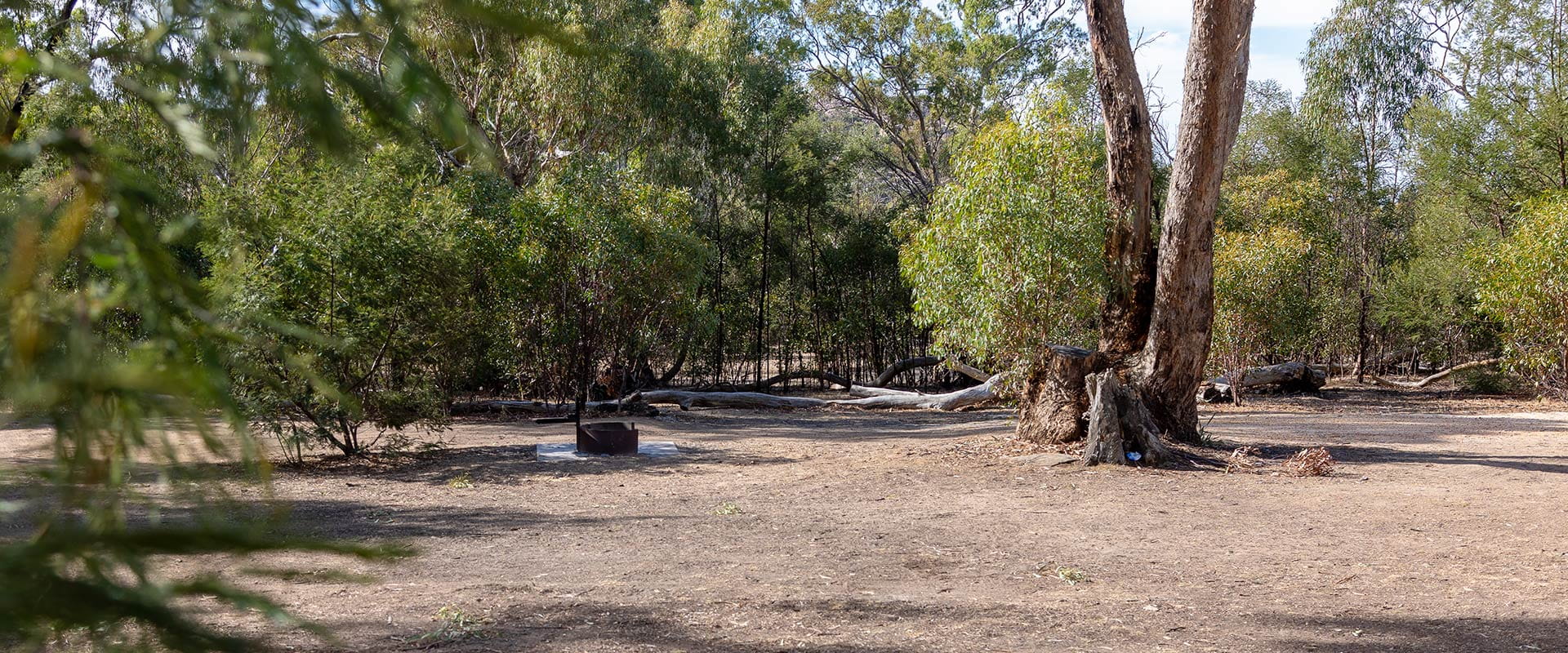 A campground with a fireplace surrounded by small trees
