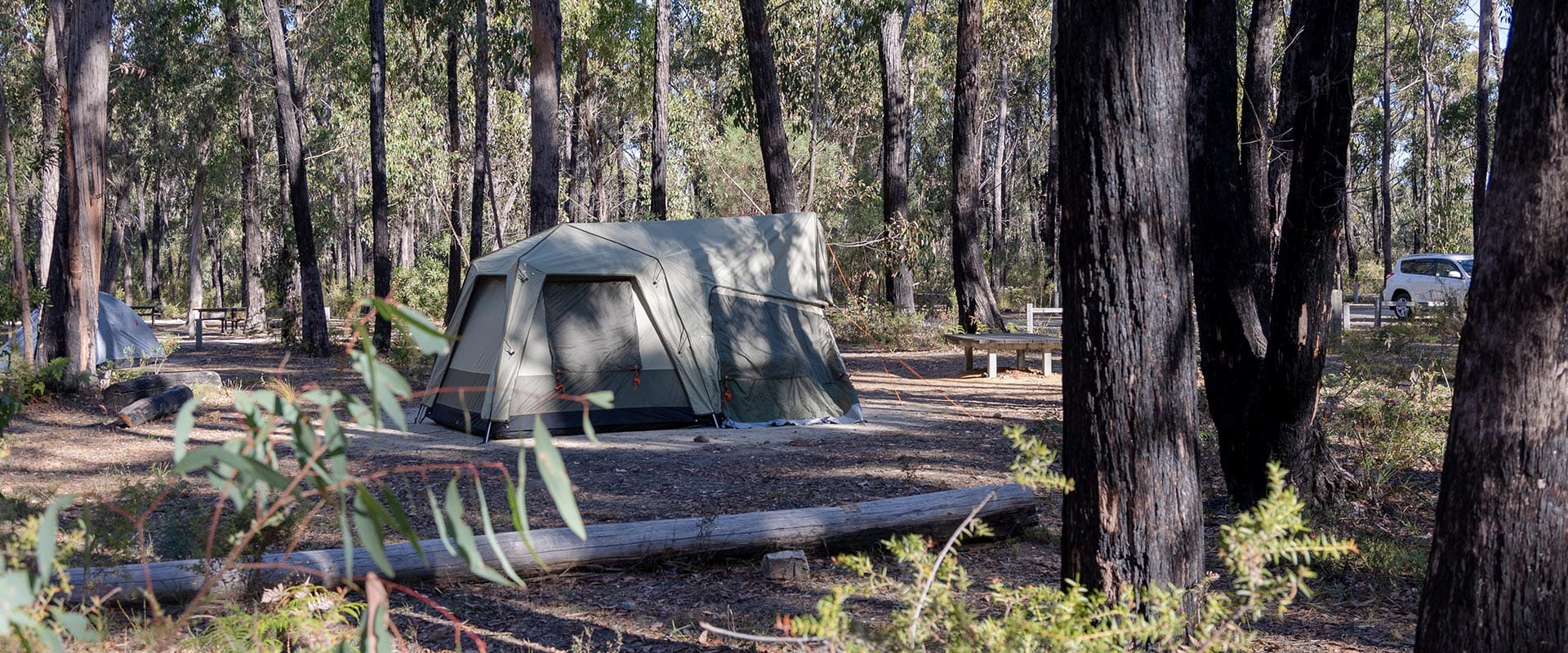A tent sits within a campground surrounded by trees for shade