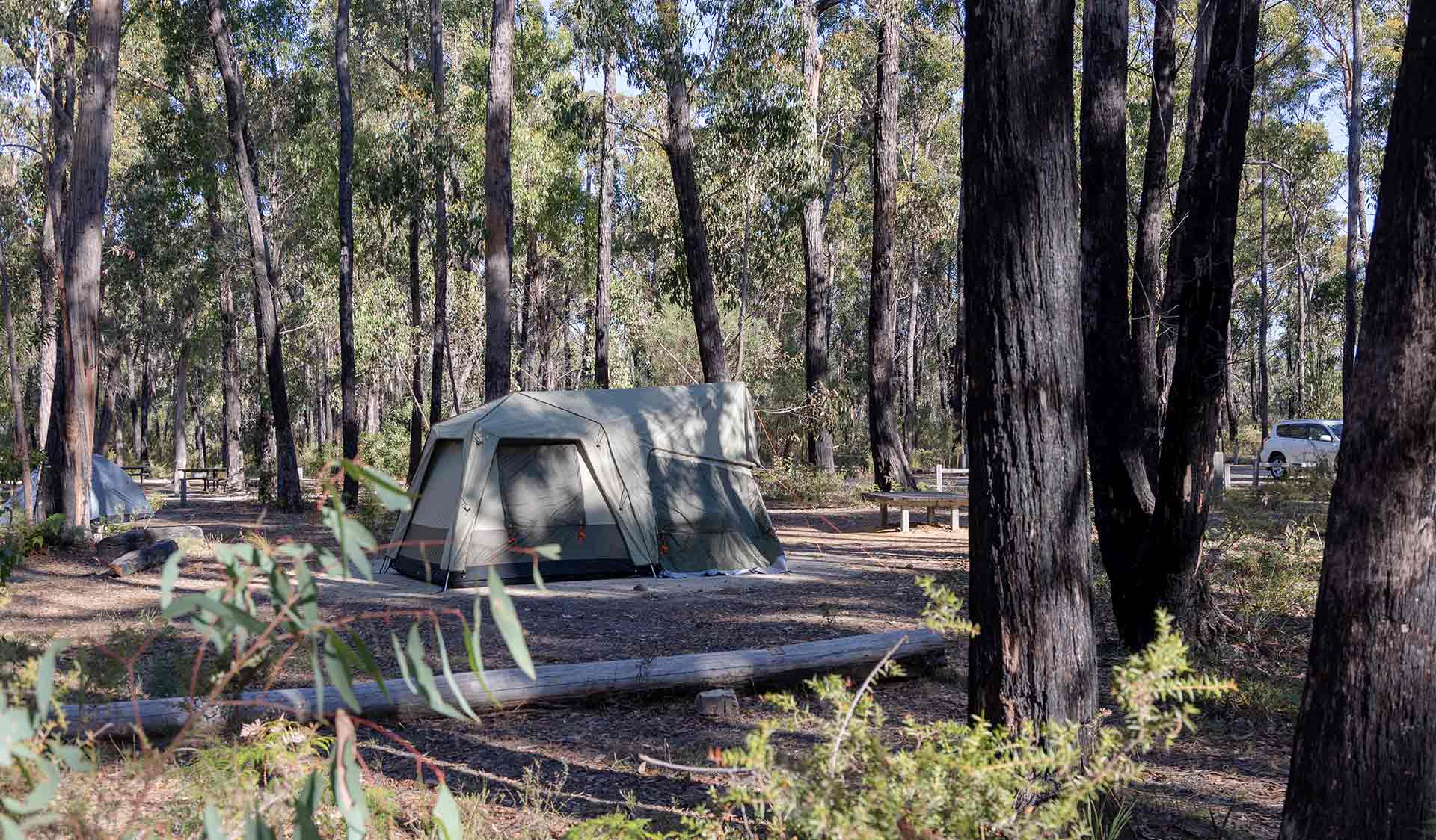A side view of a green-grey tent set among tall eucalypts at Smiths Mill Campground in the Grampians National Park