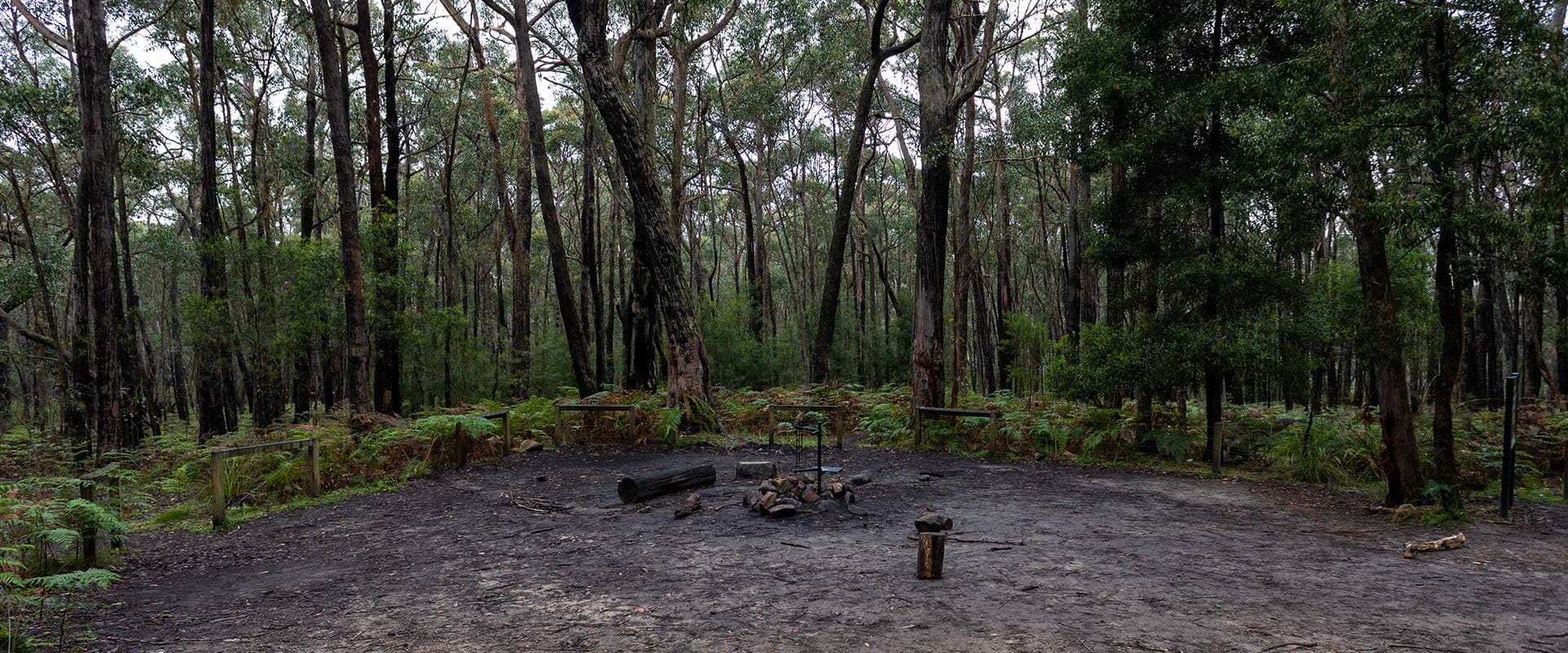A campground with a fireplace surrounded by bushy foliage