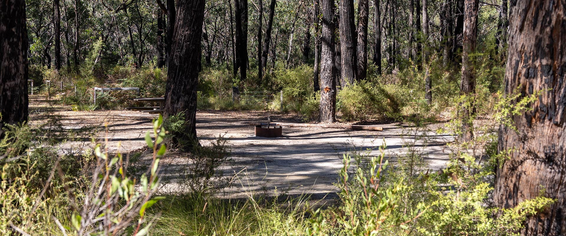 A campground with a fireplace surrounded by bushy foliage