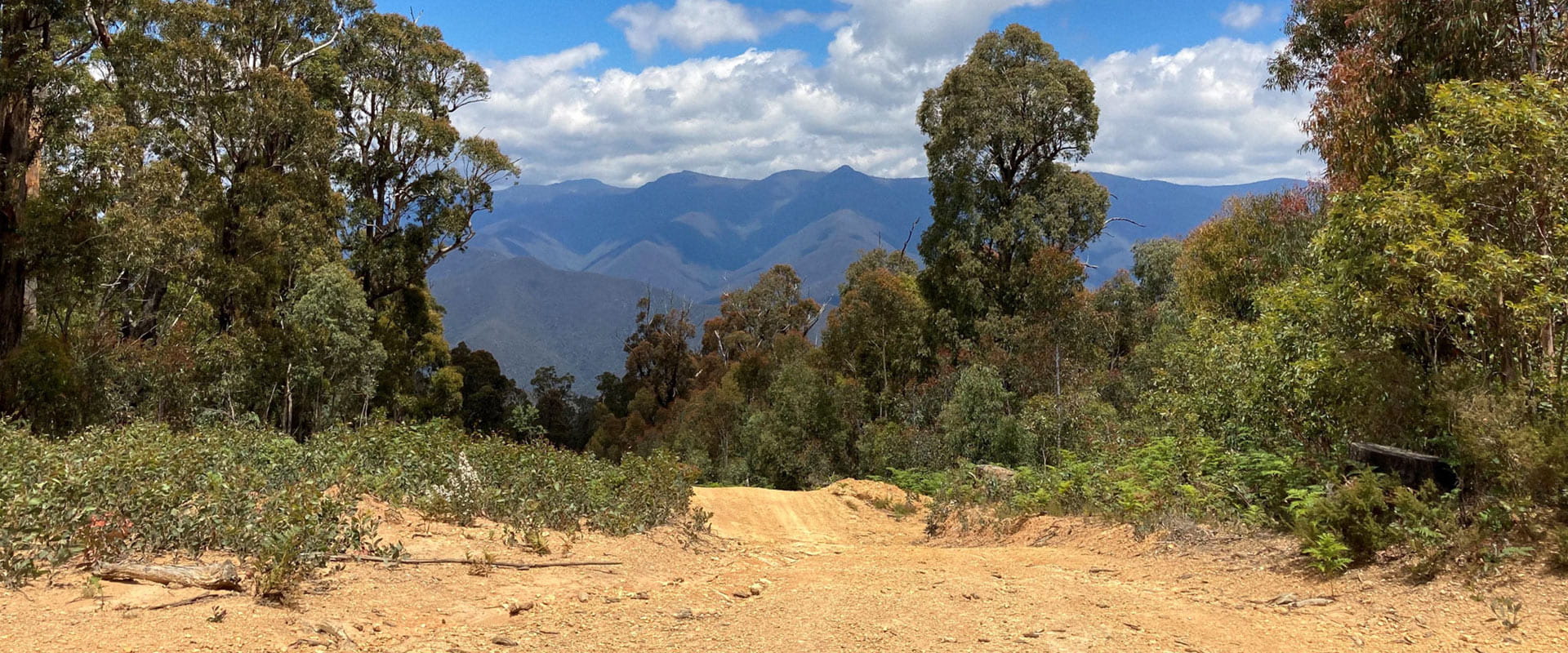 A dirt road leads towards a large mountain range that rises from rugged bushland.