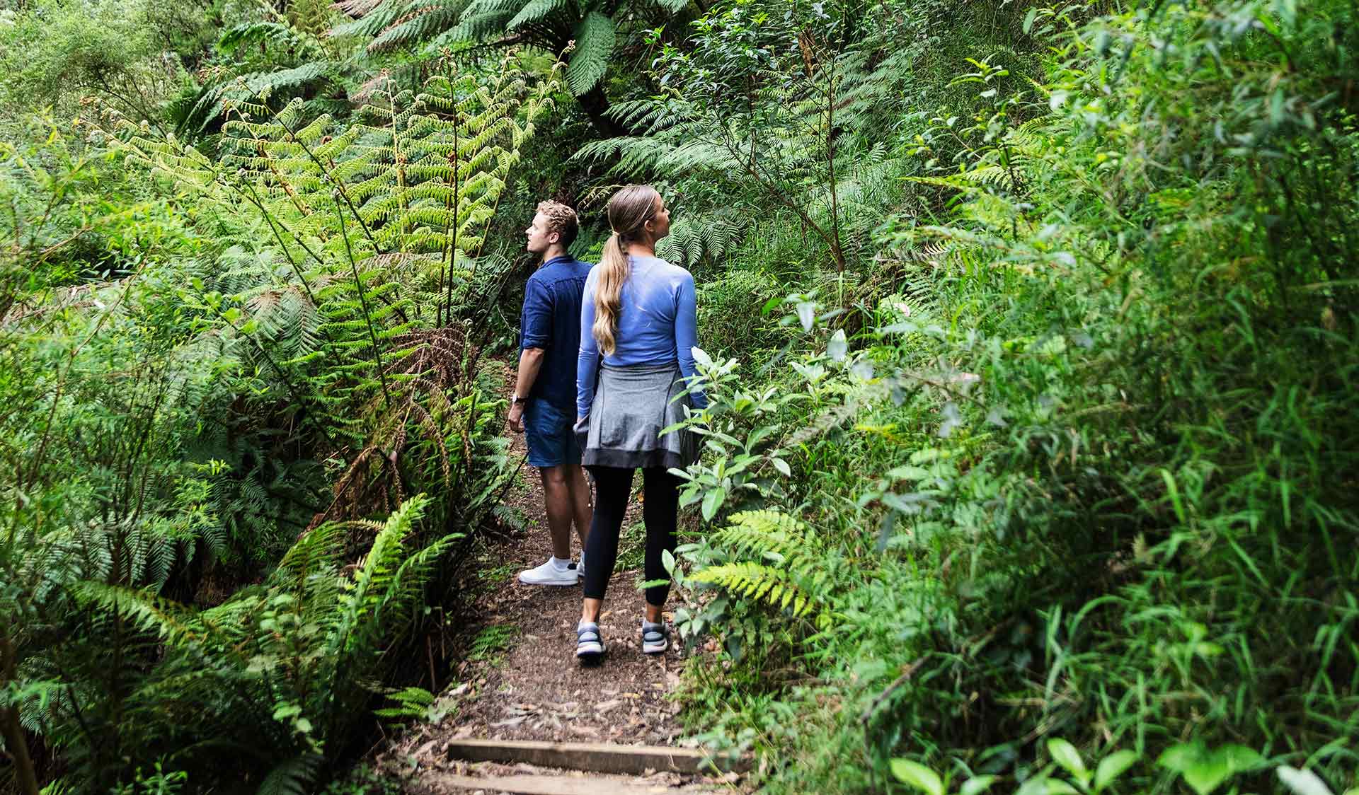 A couple follow a walking path through luscious rain-forest ferns.