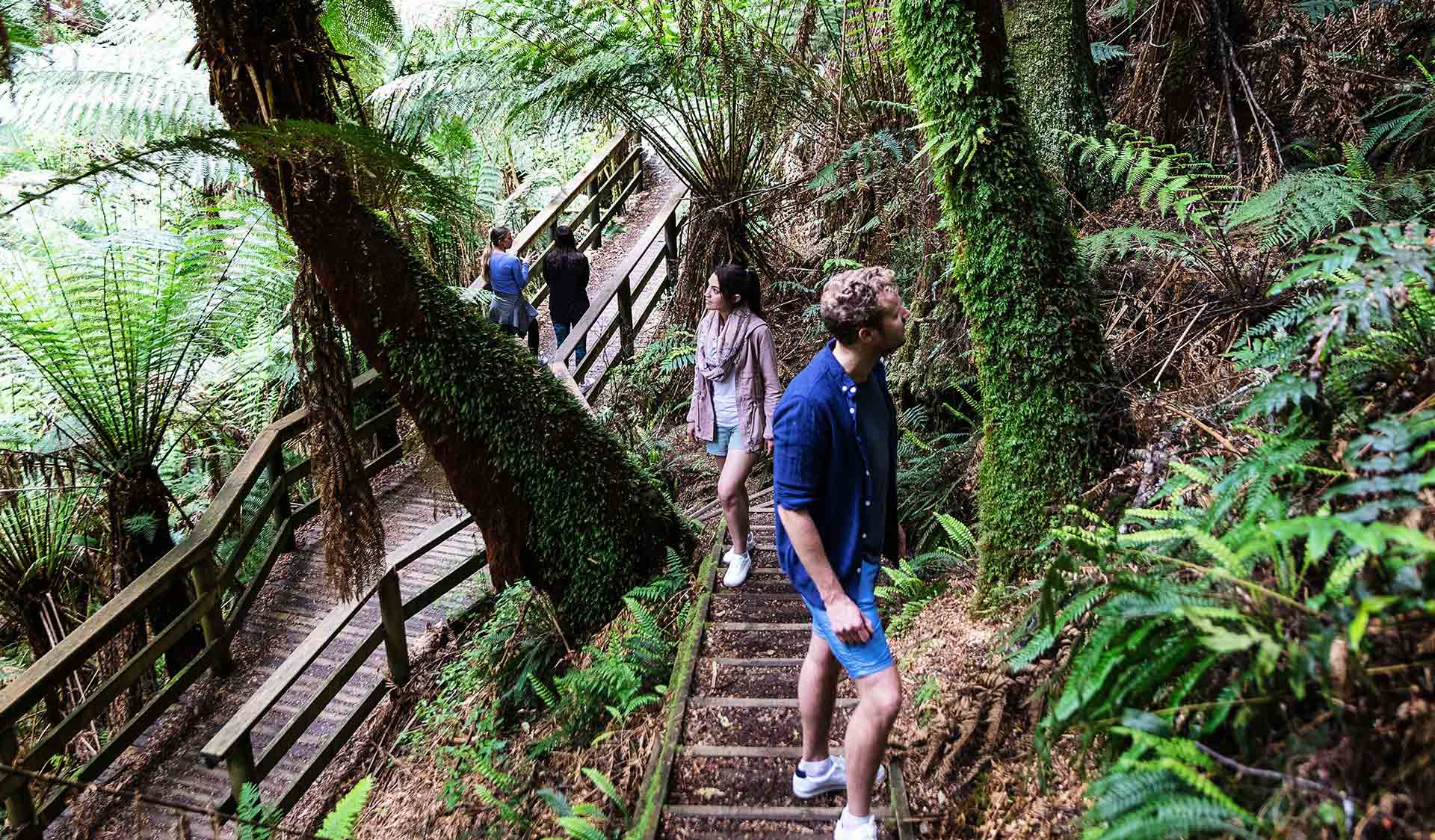 A man in a blue shirt walks up steps next to a boardwalk while looking at the flora.