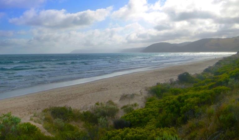 A view of the beach from the lookout on Moggs Creek Circuit Track.