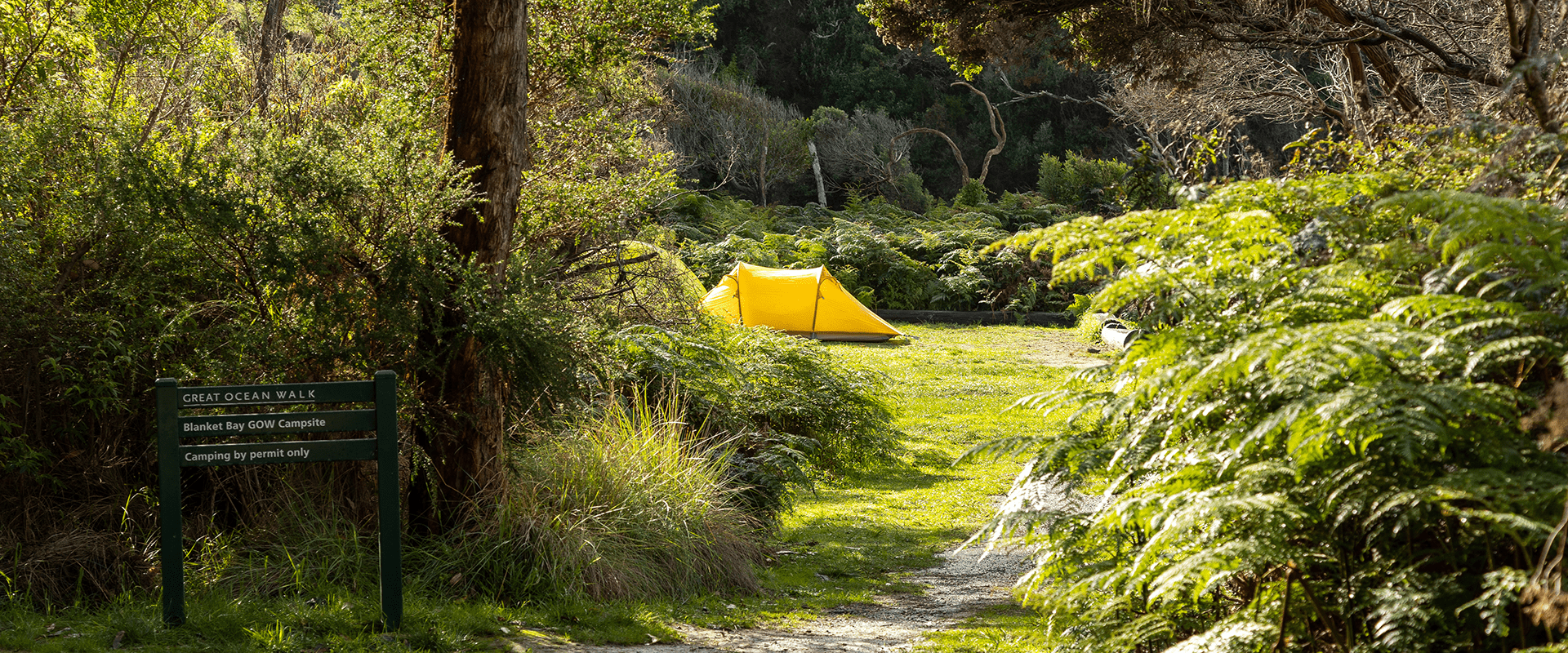 A yellow tent is nestled amongst native coastal vegetation. 
