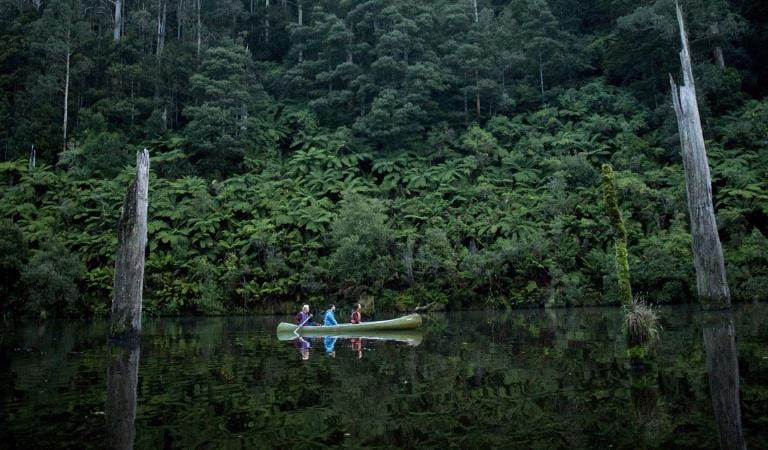 Three friends canoe through Lake Elizabeth infront of a back drop of ferns and old growth forest.