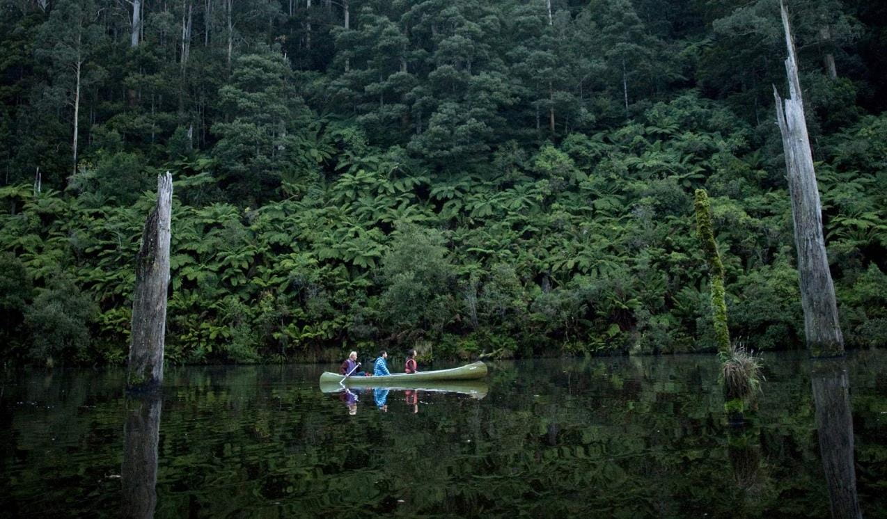 Three friends canoe through Lake Elizabeth infront of a back drop of ferns and old growth forest.