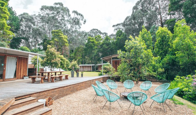 Chairs surround a firepit with cabins surrounded by trees in the background