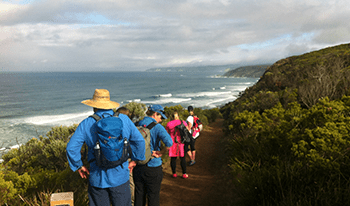 A line of hikers walk along the Great Ocean Walk walking track