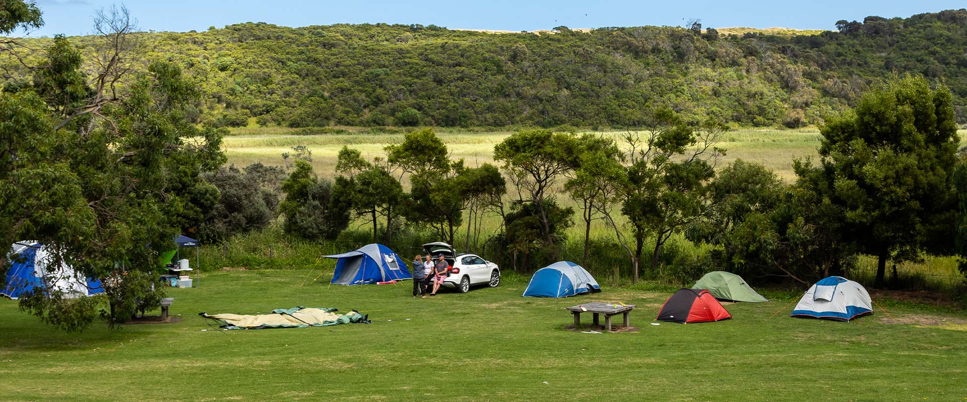 A collection of collourful family-sized tents setup on a lush green lawn in front of a row of small trees with a hill covered in shrubbs in the distant background