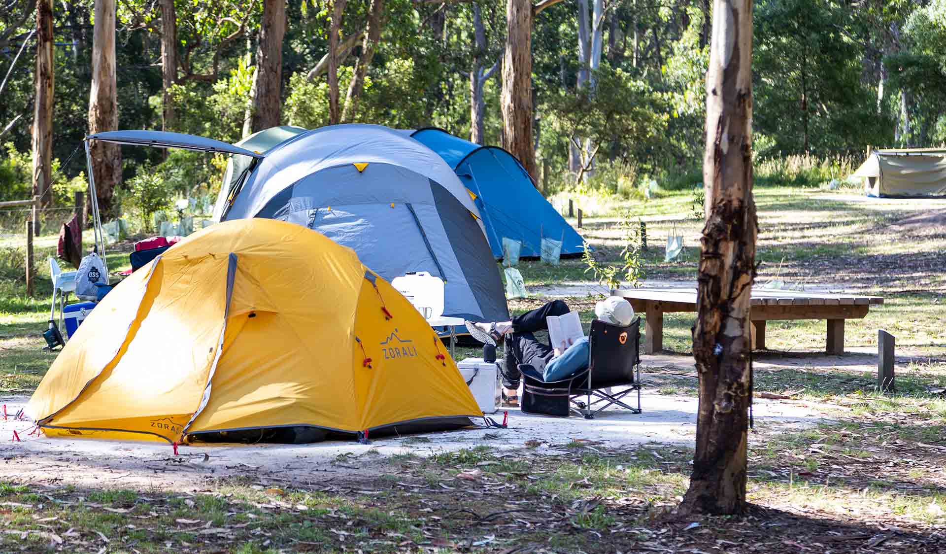 A man relaxes reading a book next to his tent at Allenvale Mill Campground in the Great Otway National Park
