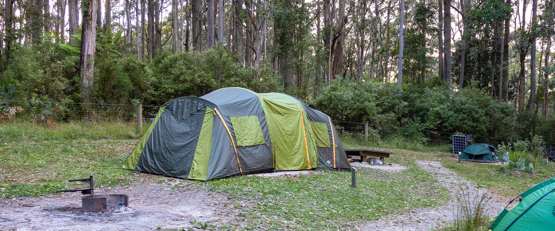 A large green and grey tent setup in a forested clearing in front of tall gum trees