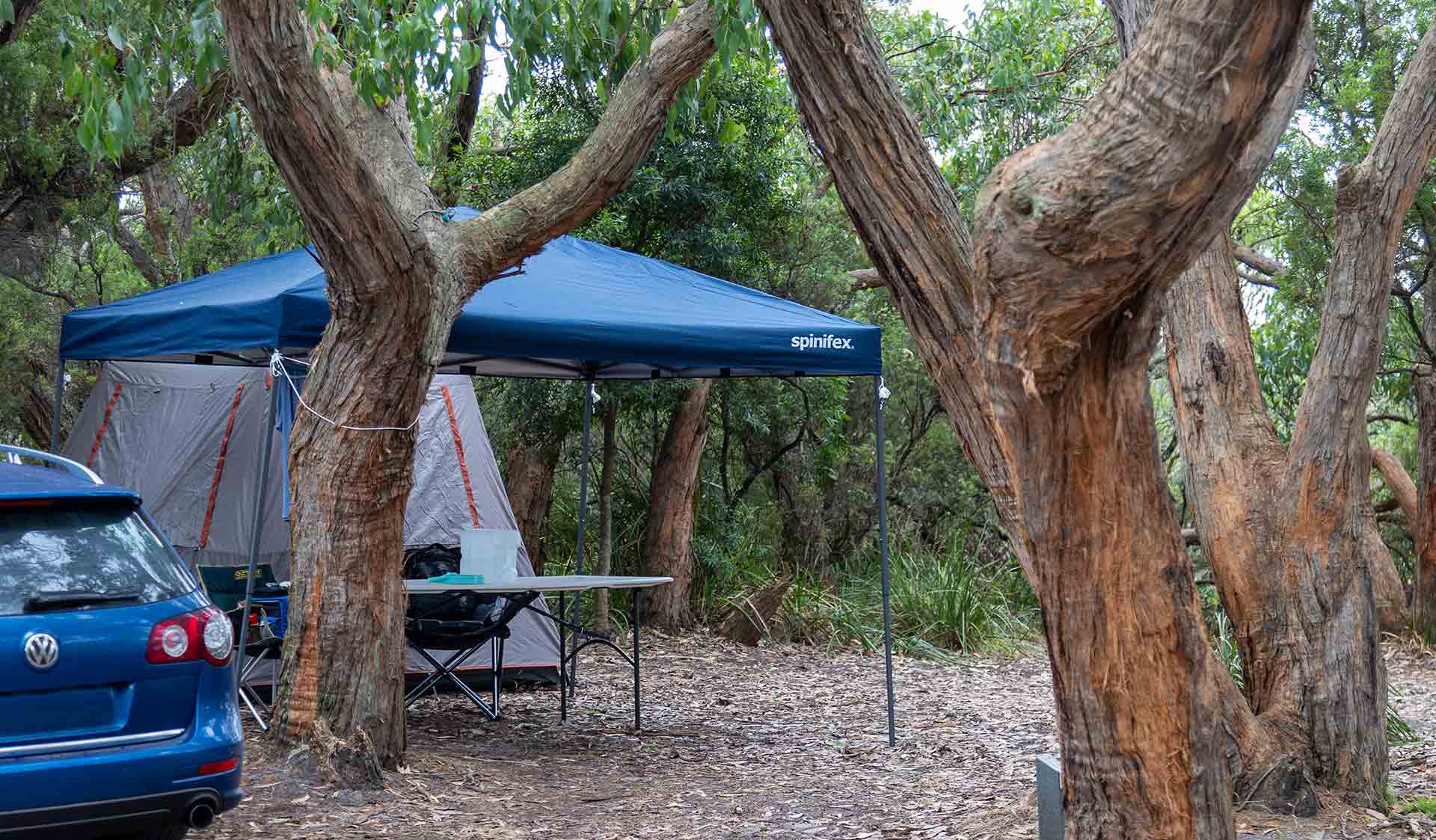 A shelter and tent set up between the trees at Parker Hill Campground at Great Otway National Park