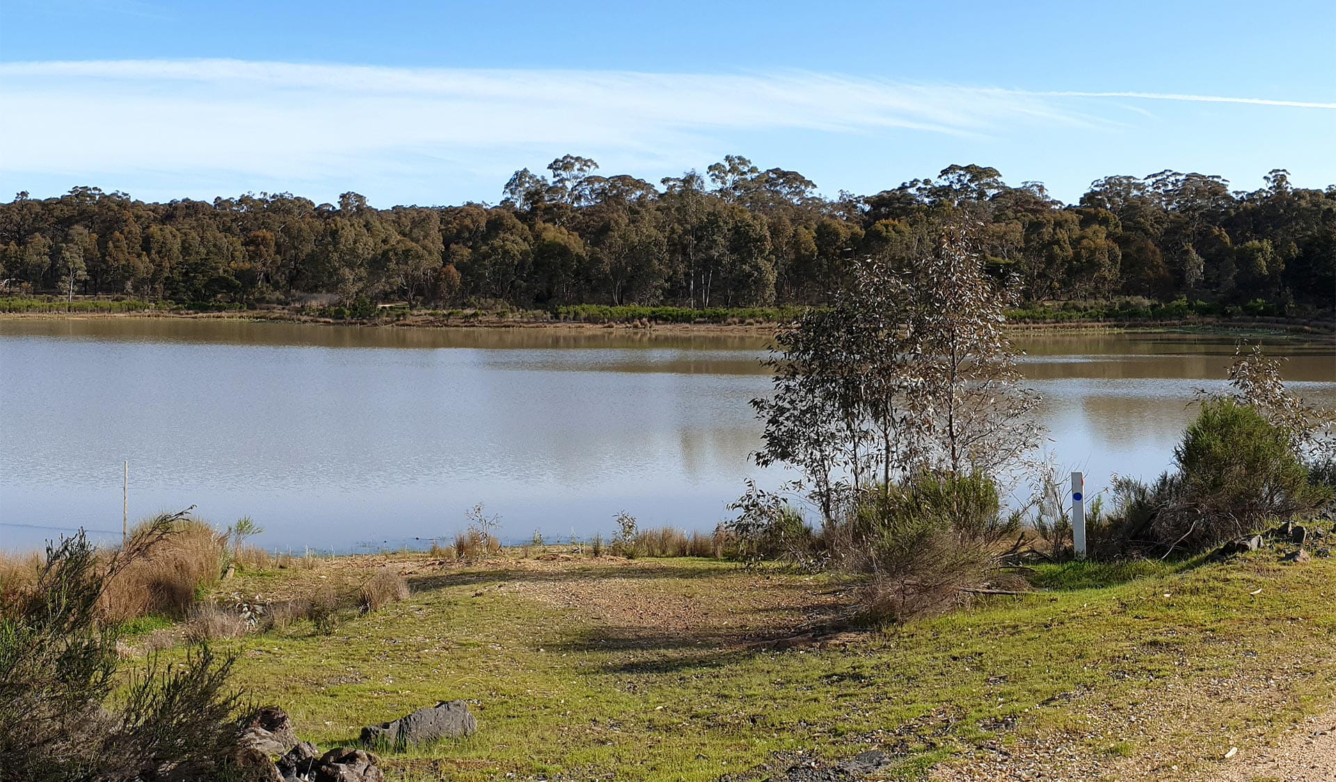 View of the reservoir surrounded by trees and grass.