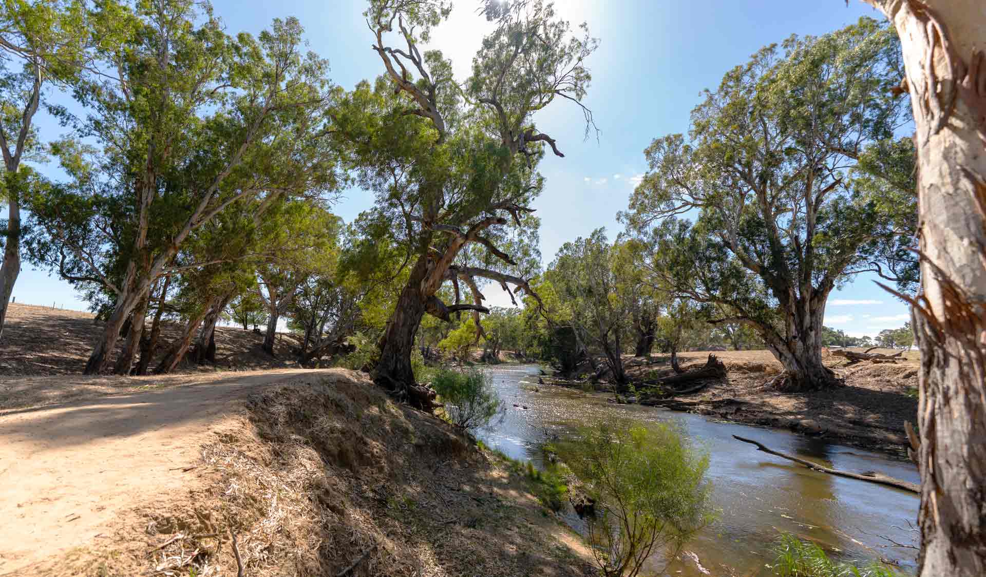 River red gums line the Campaspe River at Rocky Crossing at Greater Bendigo National Park