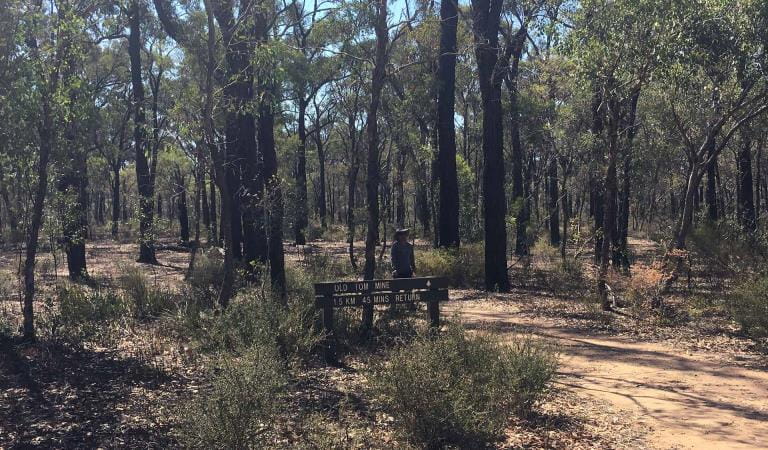 A man walks back along the path from Old Tom Mine in the Greater Bendigo National Park. 