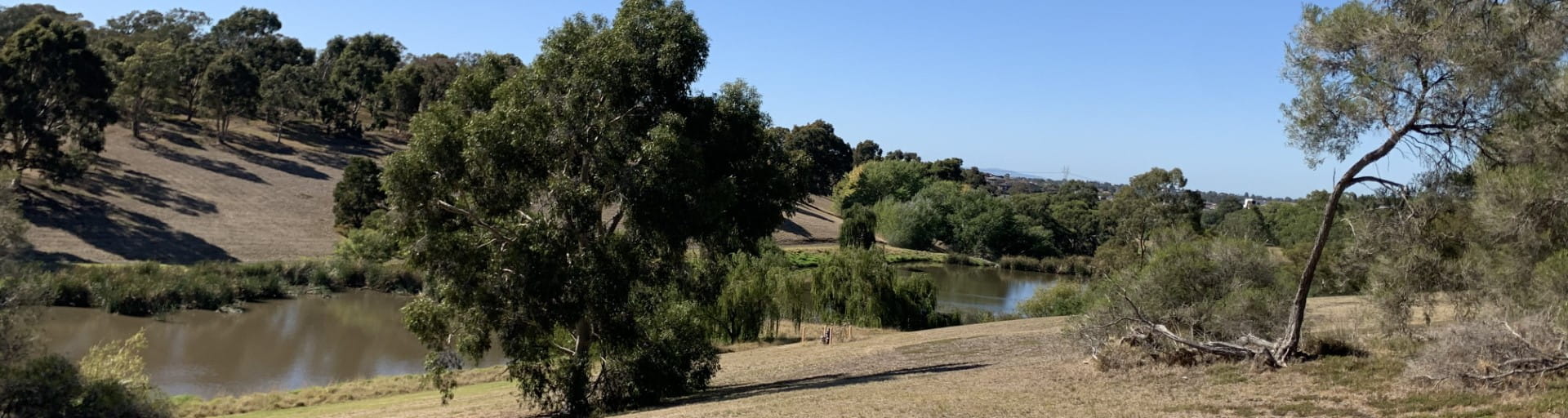 Greenvale reservoir park waters and greenery