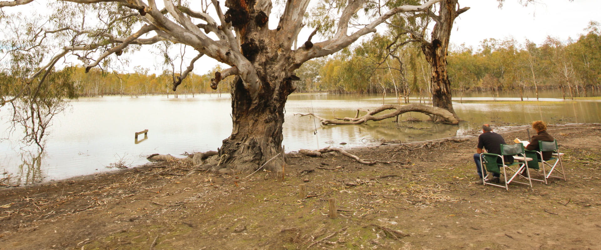 A woman reading a book sitting next to a man on two camping chairs under a large sparse tree tree overlooking the serene lake waters.