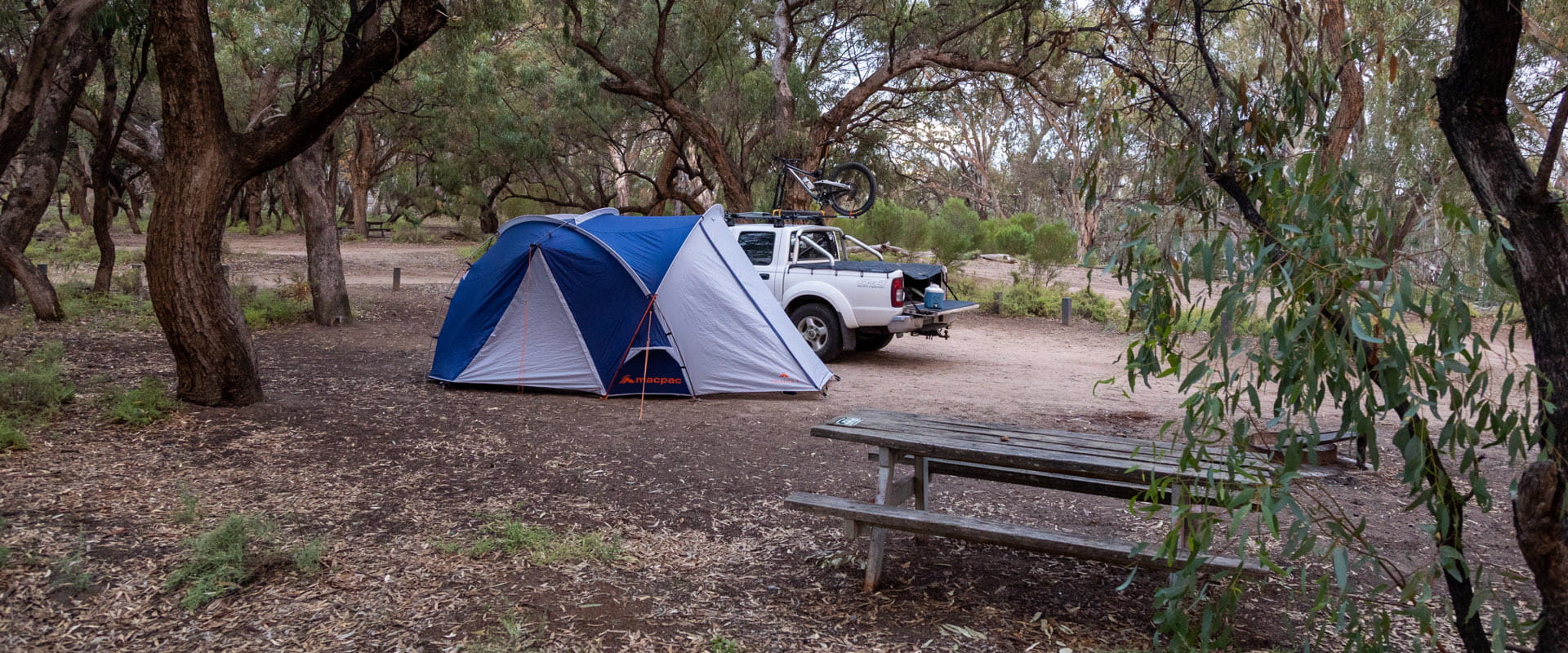 A tent pitched in a bushland campsite under the cover of trees, with a truck and wooden picnic table nearby.