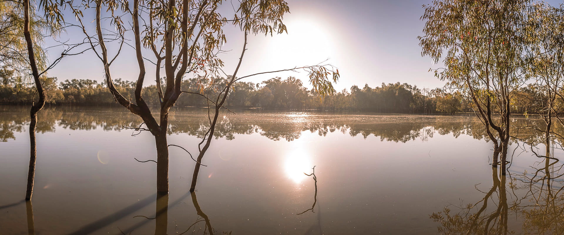 Sunlight glistening on a serene lake bordered by bushland trees and scrub.