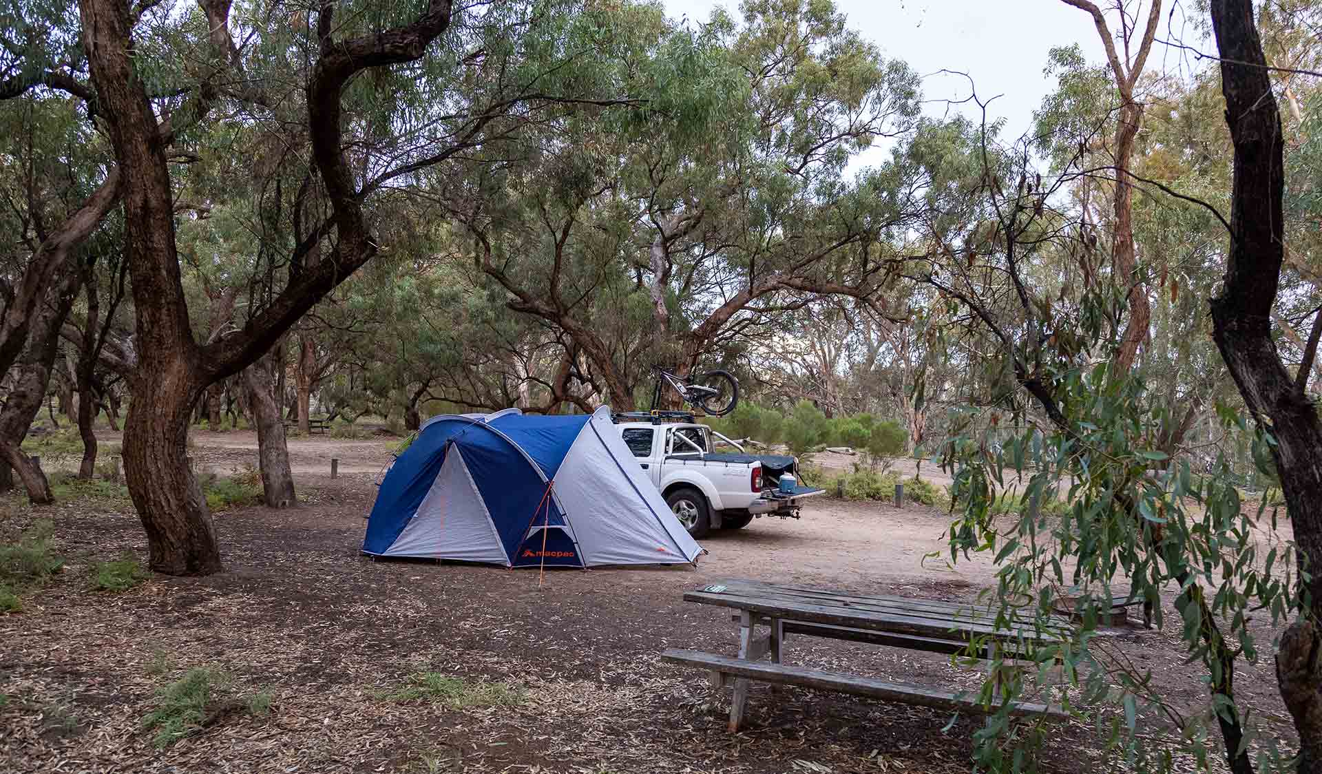 A large Macpac tent set up next to a picnic table and a white ute with a mountain bike on the roof at Lake Mournpall Campground at Hattah-Kulkyne National Park