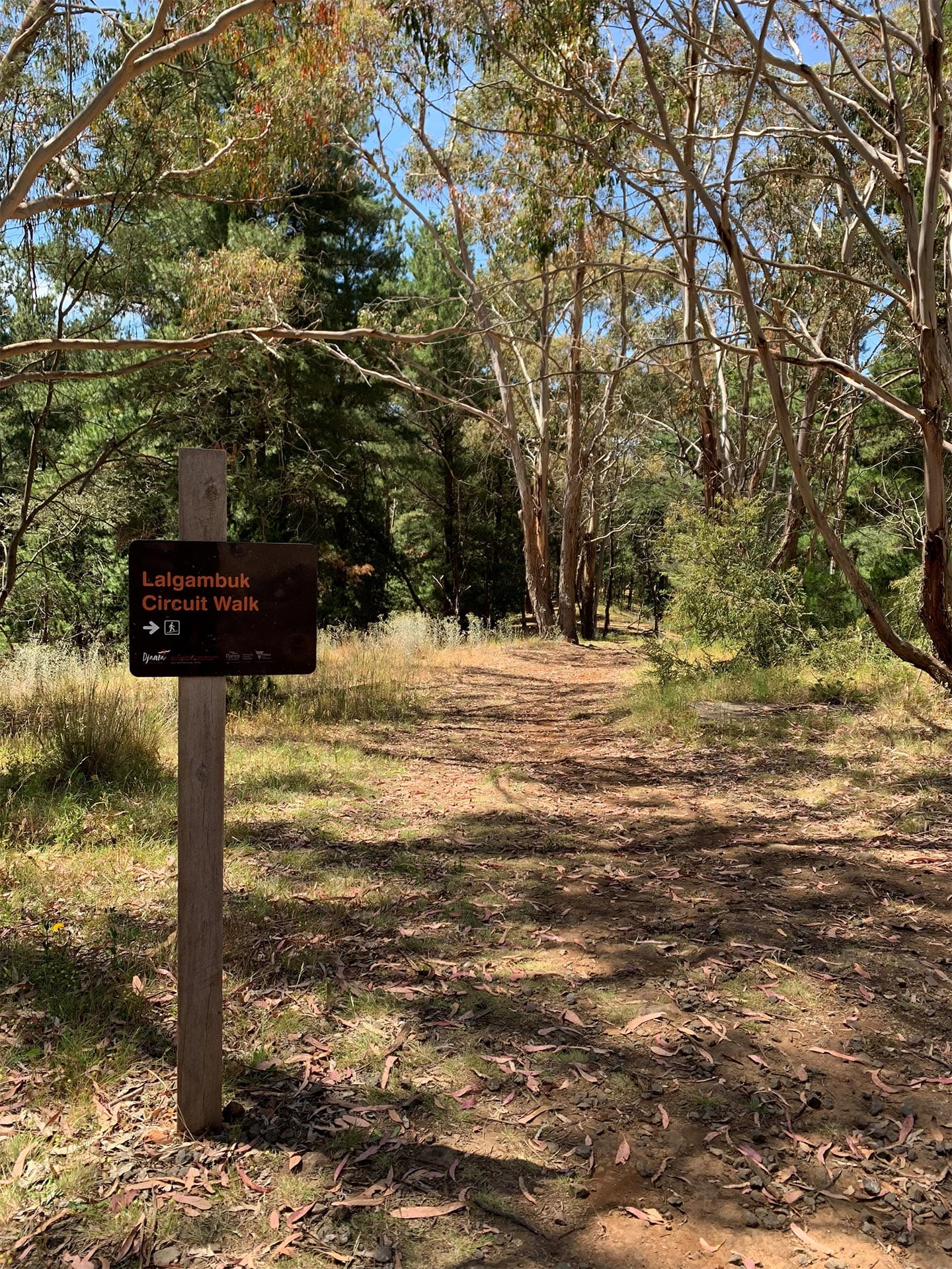A sign reads Lalgambuk Circuit Walk at the start of a track leading off into the trees.