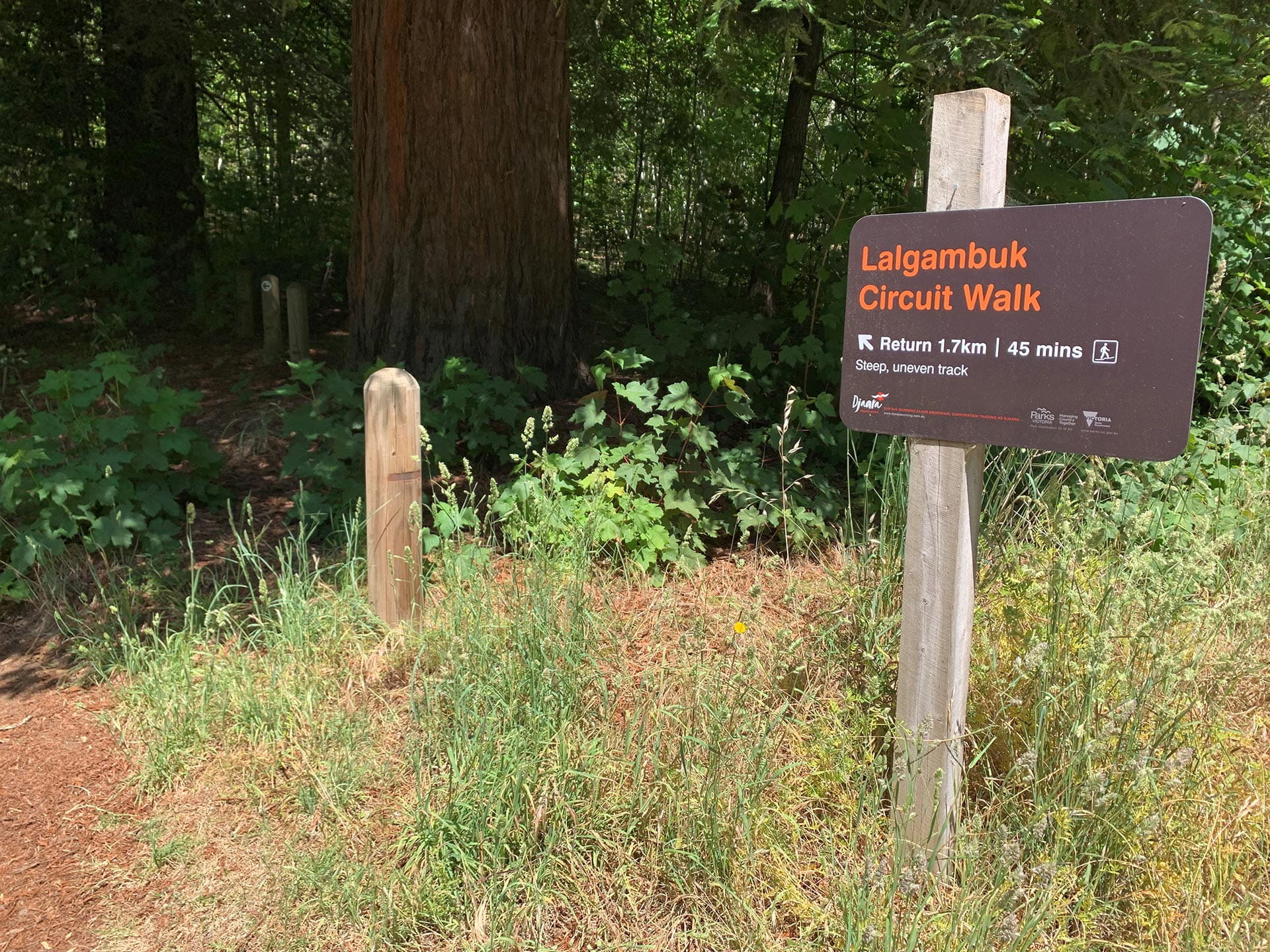 A sign reads Lalgambuk Circuit Walk next to a path leading into the forest.