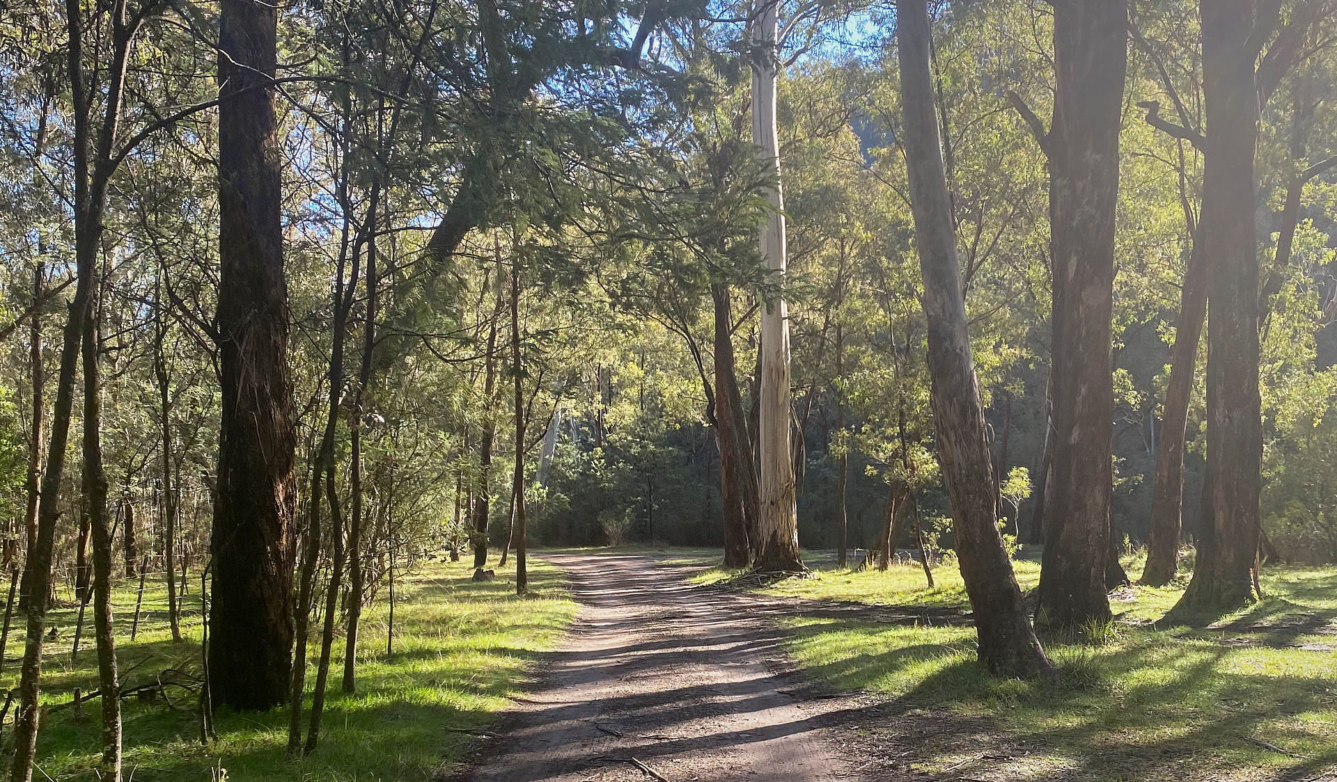 7 Mile Flat Camping Area