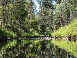 The landscape reflected in the Howqua River in the Howqua Hills Heritage Area. 