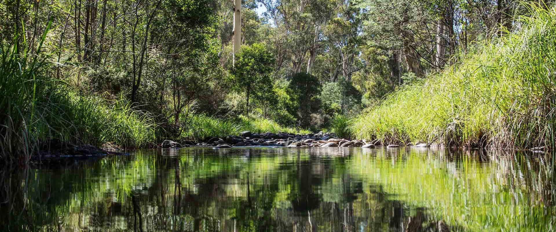 The landscape reflected in the Howqua River in the Howqua Hills Heritage Area.