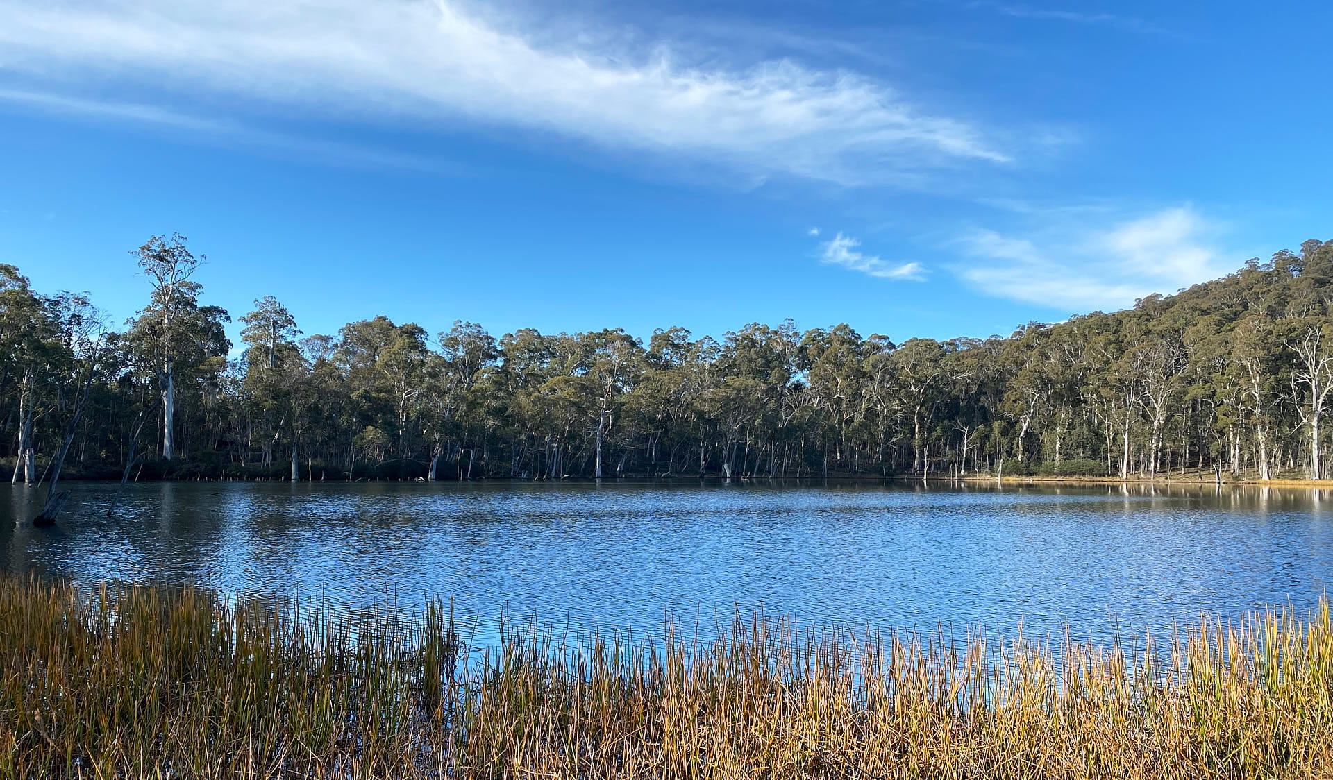 Looking over Lake Cobbler, Alpine National Park