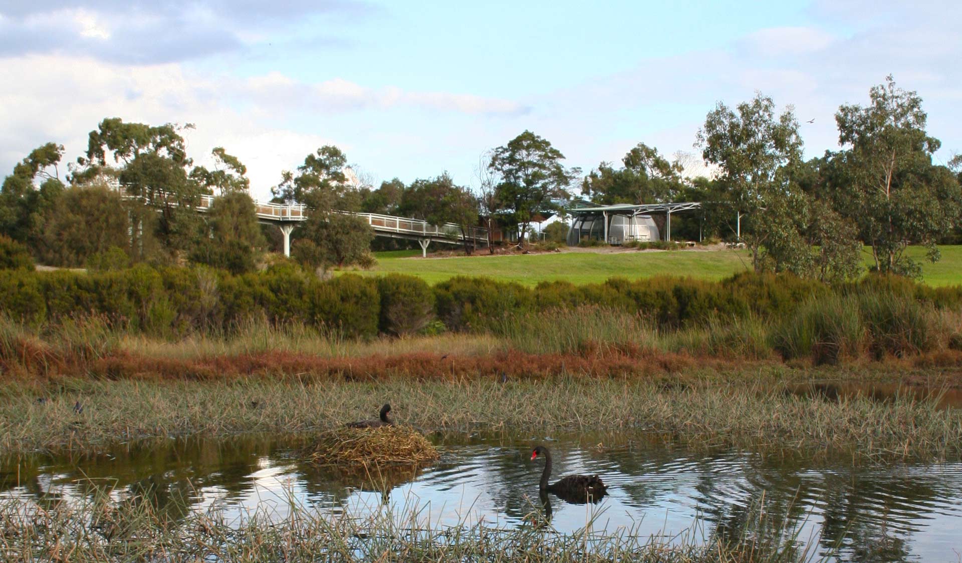 The Lake Trail at Karkarook Park