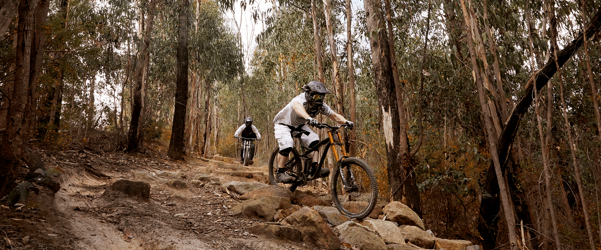 Mountain biking places near me hotsell